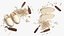 Handcrafted Wooden Clogs with Carving Tools  Beige