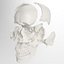 Advanced Skull