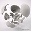Advanced Skull