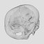 Advanced Skull