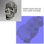 Advanced Skull