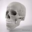 Advanced Skull