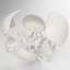 Advanced Skull