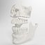 Advanced Skull