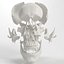 3d Human Skull