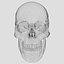Advanced Skull