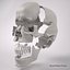 Advanced Skull
