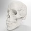 Advanced Skull
