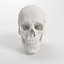 Advanced Skull