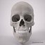 Advanced Skull