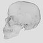 Advanced Skull