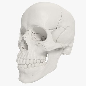 Advanced Skull