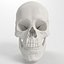 Advanced Skull
