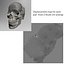 Advanced Skull