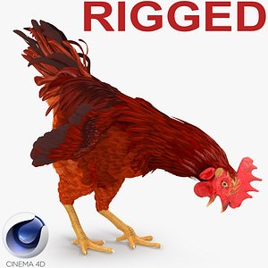 Brown Hen Rigged for Cinema 4D