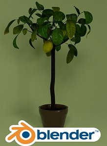 3D model lemon tree