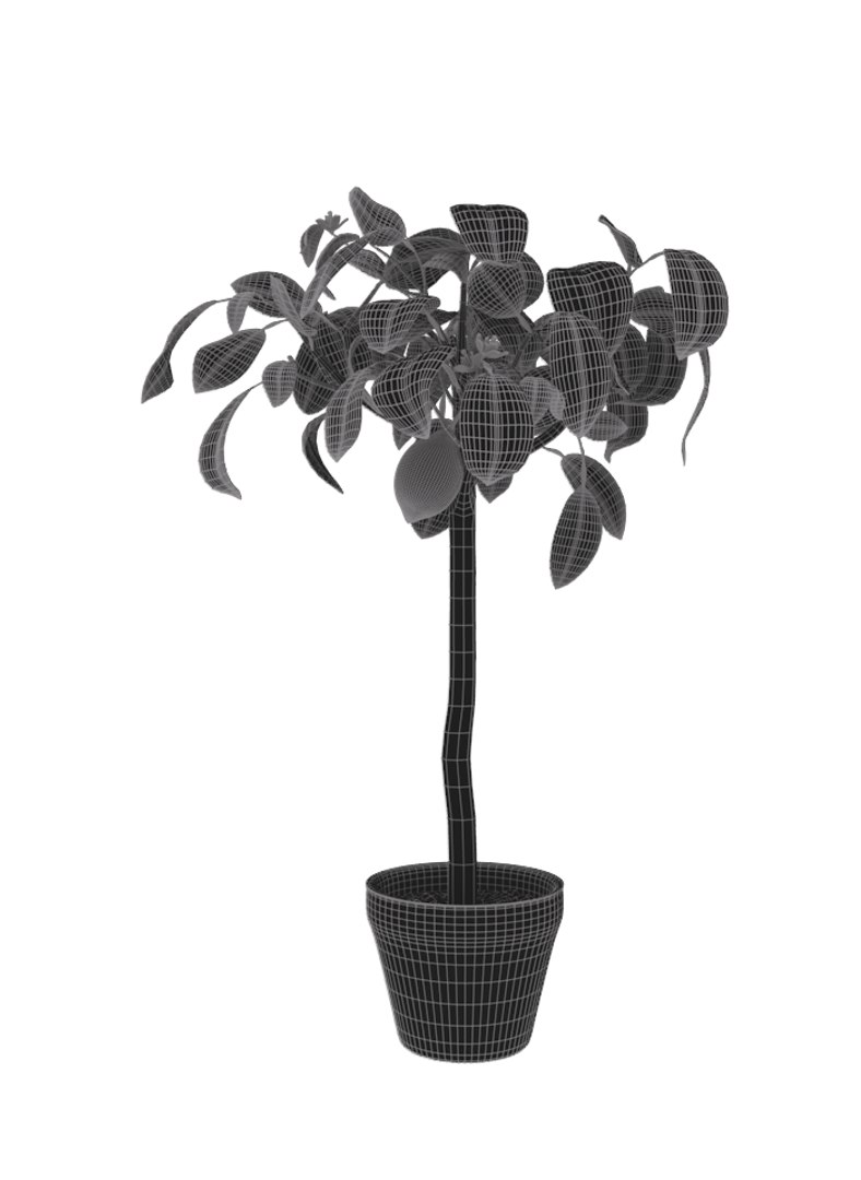 3D Model Lemon Tree - TurboSquid 1333837