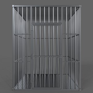 PBR Big Cage 1