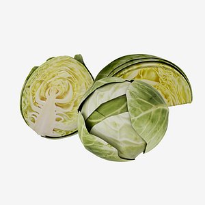 Cabbage Photorealistic Low poly 3D model 3D
