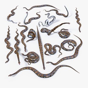 Reticulated Python 3D Mesh