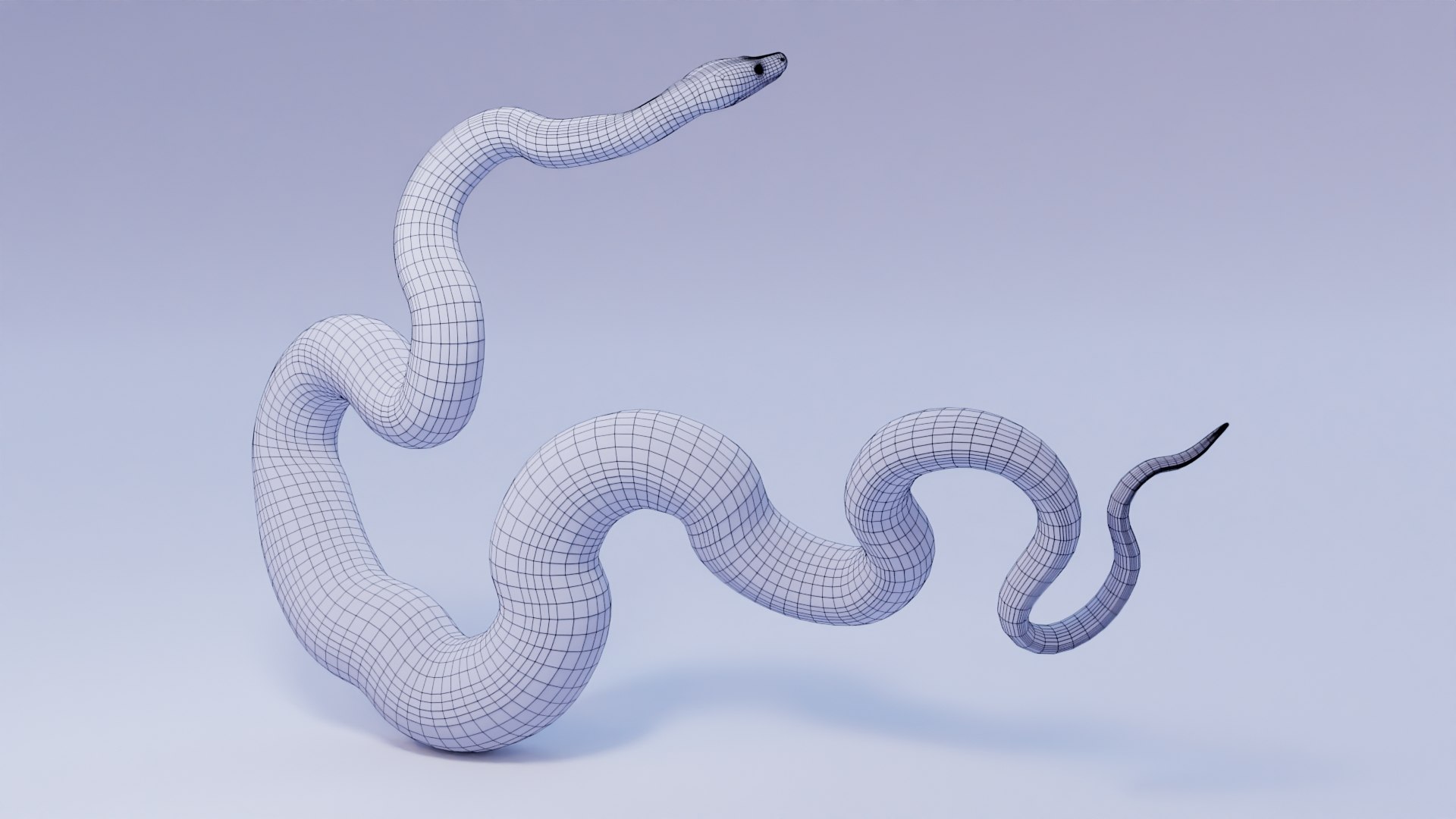 Reticulated Python 3D Mesh 3D Model - TurboSquid 1880486