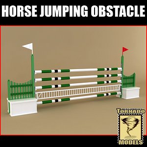 Horse Jumping Obstacle