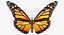 3D monarch butterfly rigged