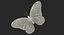 3D monarch butterfly rigged