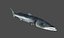 Barracuda