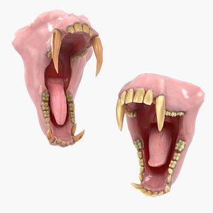 3D model Creature Teeth Collection 01 | Macaque and Mandrill
