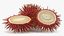 Tropical Fruit Rambutan