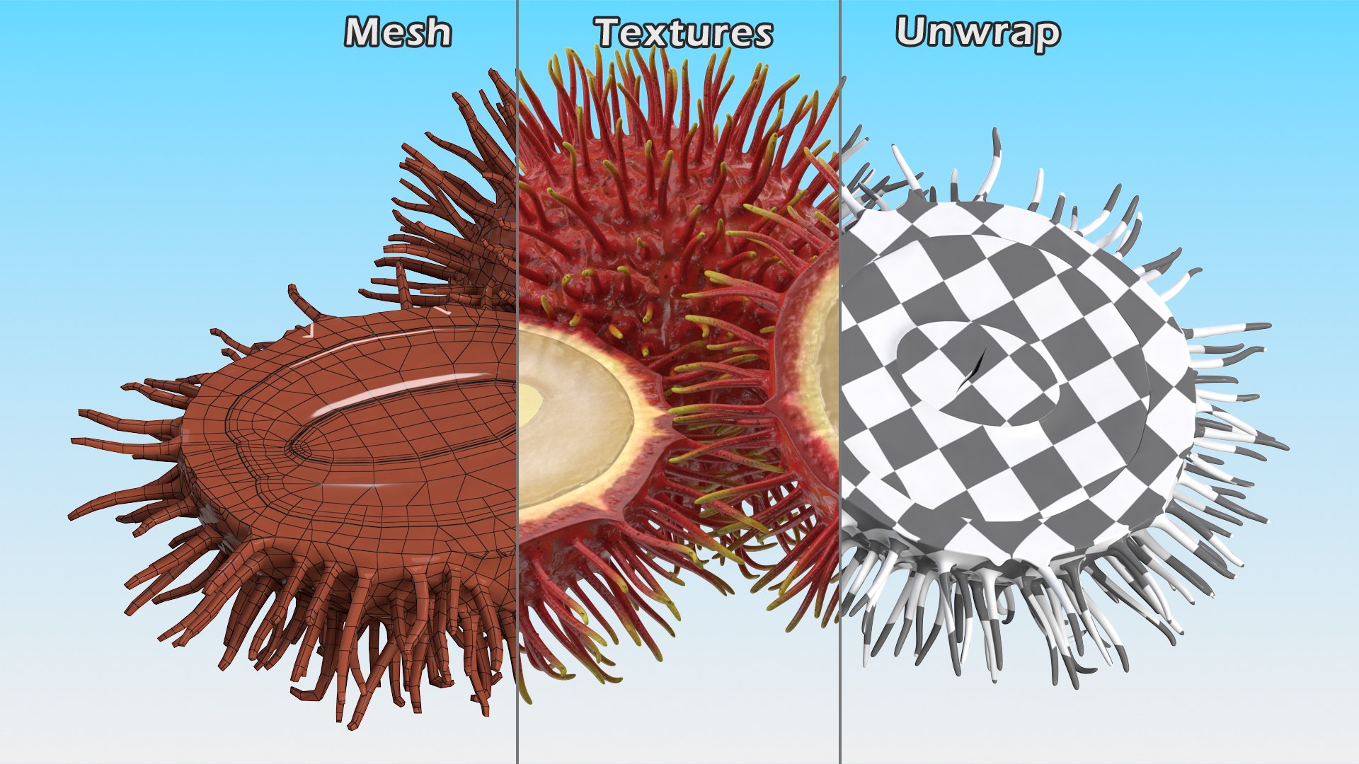 Tropical Fruit Rambutan 3D model https://p.turbosquid.com/ts-thumb/dX/ebyijw/Du/tropicalfruitrambutanc4dmodel011/jpg/1692777019/1920x1080/fit_q87/9b0f46ca4db22b2712c748ec74b2a8210ee7b4ca/tropicalfruitrambutanc4dmodel011.jpg