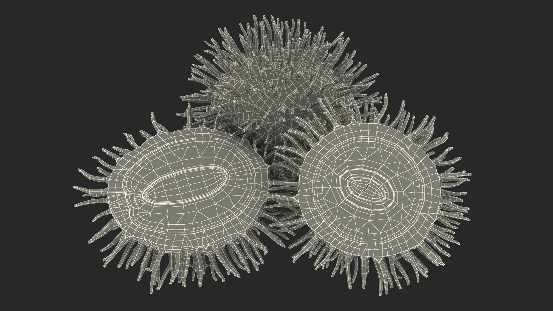Tropical Fruit Rambutan 3D model https://p.turbosquid.com/ts-thumb/dX/ebyijw/N2/tropicalfruitrambutanc4dmodel018/jpg/1692777045/1920x1080/fit_q87/a3e9b1302c08aa97ce04dc5438475f08f576d894/tropicalfruitrambutanc4dmodel018.jpg