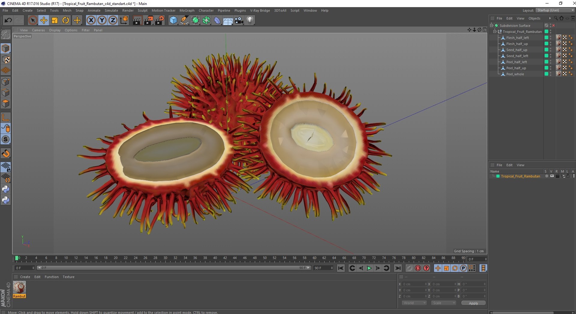 Tropical Fruit Rambutan 3D model https://p.turbosquid.com/ts-thumb/dX/ebyijw/OY/tropicalfruitrambutanc4dmodel024/jpg/1692777071/1920x1080/fit_q87/574e401f63540f4adc9e79f6d3484ad5452eee2b/tropicalfruitrambutanc4dmodel024.jpg