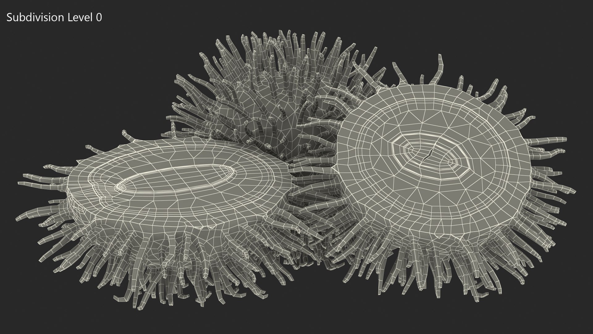 Tropical Fruit Rambutan 3D model https://p.turbosquid.com/ts-thumb/dX/ebyijw/QQ/tropicalfruitrambutanc4dmodel012/jpg/1692777022/1920x1080/fit_q87/3025e7a9936fa9be47adf17eeb5a0b467da996a8/tropicalfruitrambutanc4dmodel012.jpg