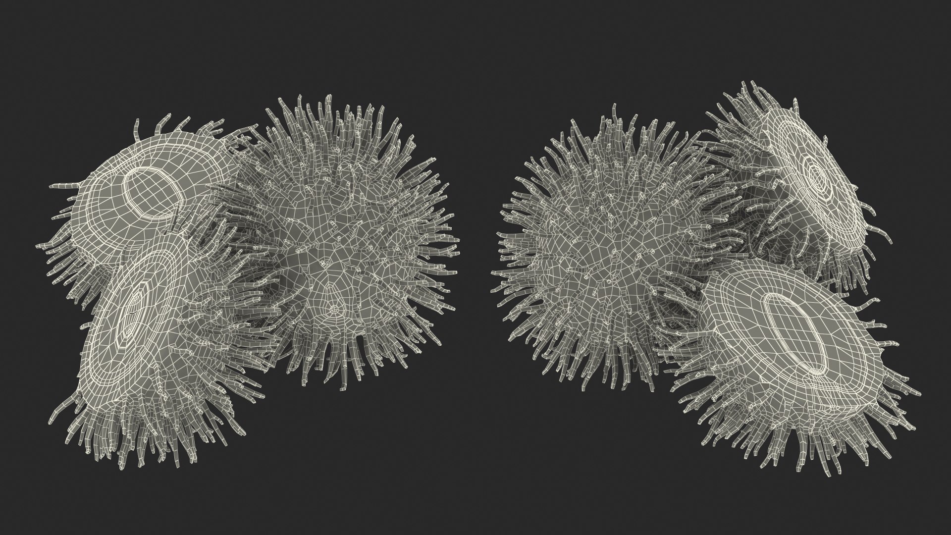 Tropical Fruit Rambutan 3D model https://p.turbosquid.com/ts-thumb/dX/ebyijw/SL/tropicalfruitrambutanc4dmodel019/jpg/1692777049/1920x1080/fit_q87/dddc3f88434bfe11e4e20d28e06e74f9cf47ec33/tropicalfruitrambutanc4dmodel019.jpg
