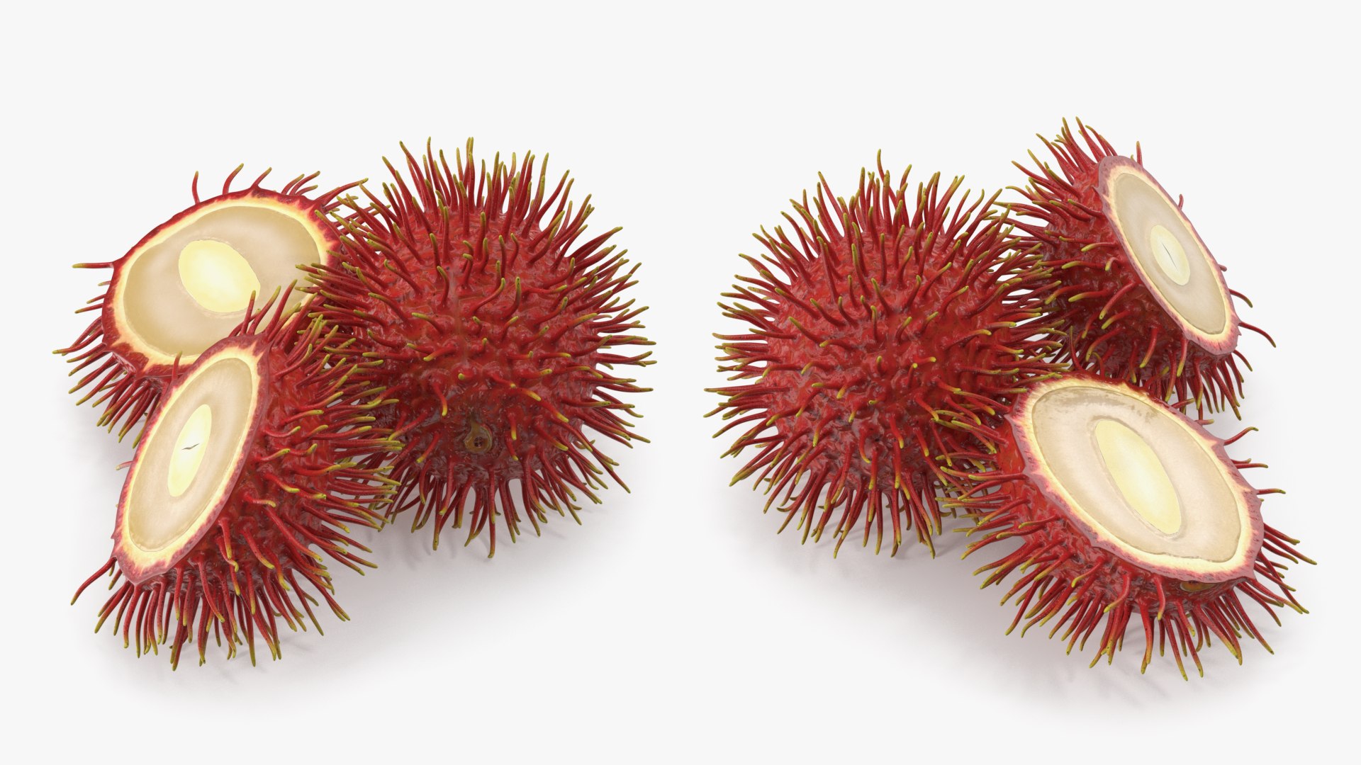 Tropical Fruit Rambutan 3D model https://p.turbosquid.com/ts-thumb/dX/ebyijw/VT/tropicalfruitrambutanc4dmodel008/jpg/1692777006/1920x1080/fit_q87/910988f40c0beb065f765e146fbcac12f39ba436/tropicalfruitrambutanc4dmodel008.jpg