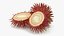 Tropical Fruit Rambutan
