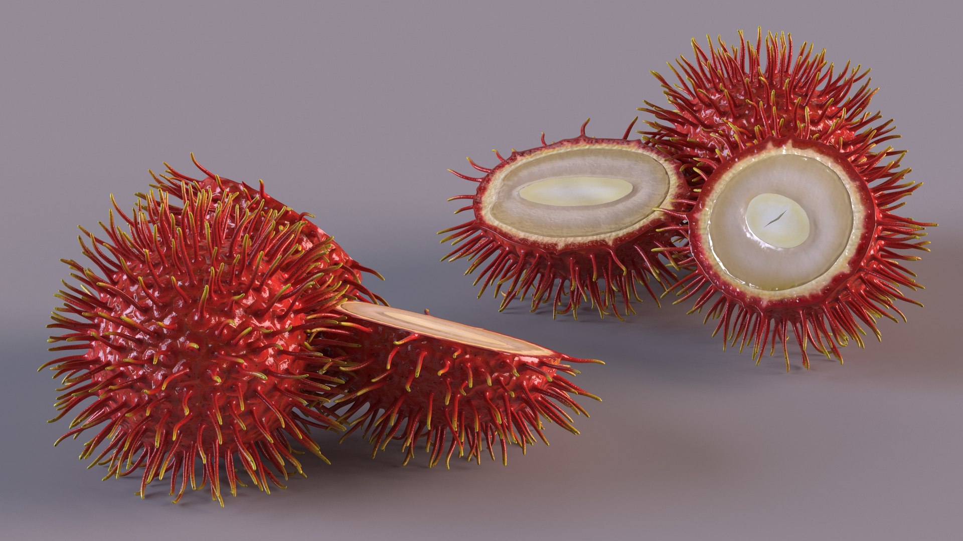 Tropical Fruit Rambutan 3D model https://p.turbosquid.com/ts-thumb/dX/ebyijw/hc/tropicalfruitrambutanc4dmodel004/jpg/1692776989/1920x1080/fit_q87/4c248c44cbe1a18f4a3fadc3a428cb8855a06e40/tropicalfruitrambutanc4dmodel004.jpg