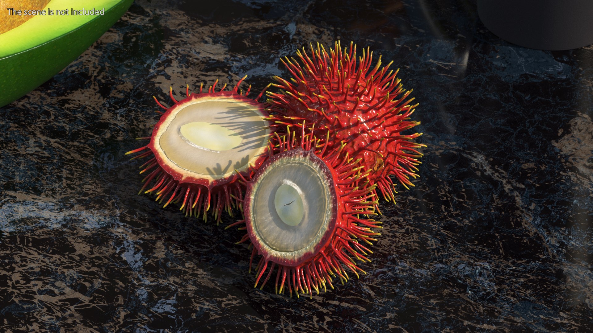 Tropical Fruit Rambutan 3D model https://p.turbosquid.com/ts-thumb/dX/ebyijw/jh/tropicalfruitrambutanc4dmodel003/jpg/1692776984/1920x1080/fit_q87/ce72c450f0ef2f51c92a76f18c7435b31e2879be/tropicalfruitrambutanc4dmodel003.jpg