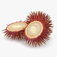 Tropical Fruit Rambutan