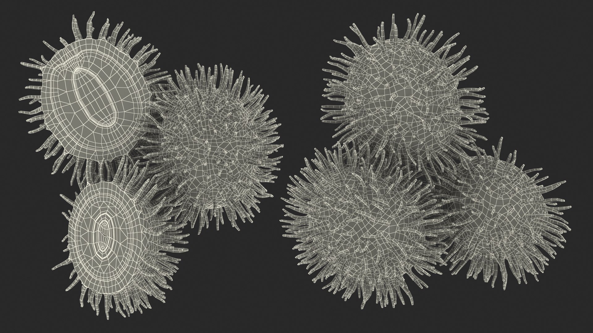 Tropical Fruit Rambutan 3D model https://p.turbosquid.com/ts-thumb/dX/ebyijw/tD/tropicalfruitrambutanc4dmodel021/jpg/1692777058/1920x1080/fit_q87/6e92f98e8f0671a774a28b08a5accb3a7d0f37a6/tropicalfruitrambutanc4dmodel021.jpg