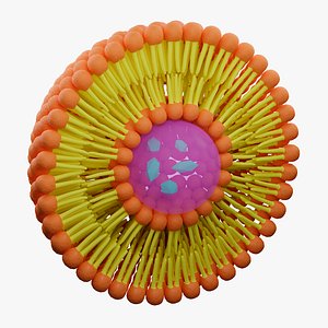 Liposome
