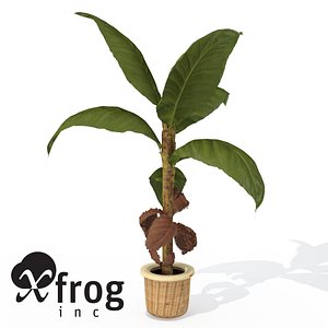 3dsmax xfrogplants banana plant x
