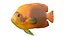50 Fish Sea Creature Collection v3