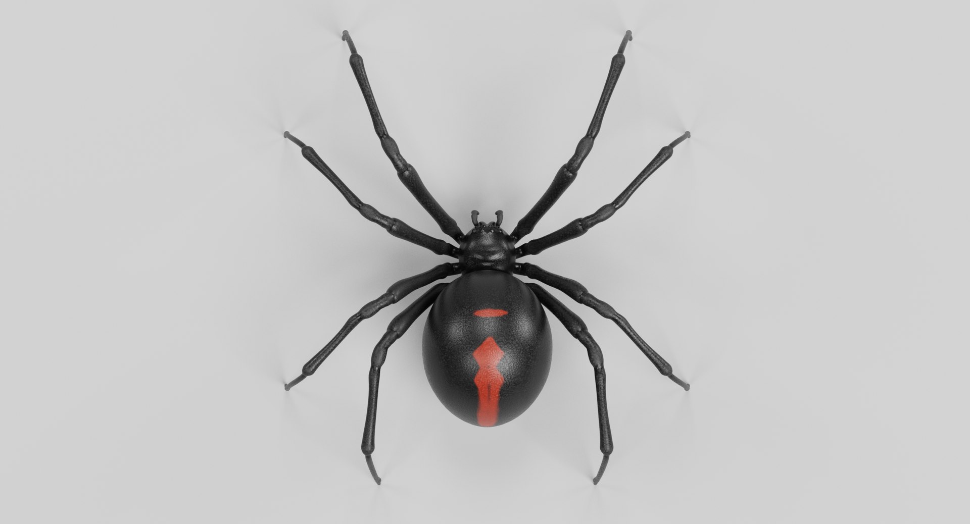 3D Insect - Huge Collection https://p.turbosquid.com/ts-thumb/dX/wfPire/tX8haR0c/blackwidowc/png/1763681613/1920x1080/fit_q87/b137f76b683f0f6dc26795b5b77975a6a4308761/blackwidowc.jpg