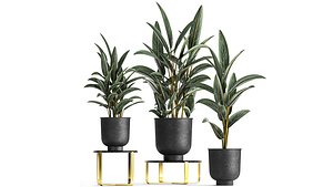 plants interior pots planter 3D