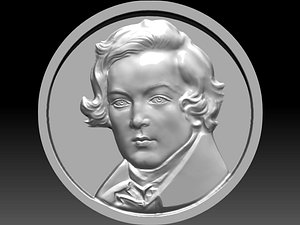 schuman 3D model