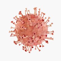Coronavirus 2019-nCoV