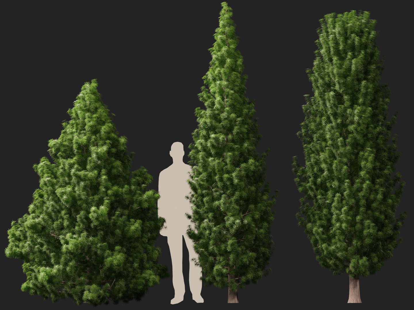 HighPoly LowPoly - Juniperus communis - Common Juniper 3D model https://p.turbosquid.com/ts-thumb/dY/Dcpa1J/8K/juniperuscommunis016/jpg/1747453092/1920x1080/fit_q87/ce8859608a04e705a2db1987b3854d7d305950ca/juniperuscommunis016.jpg